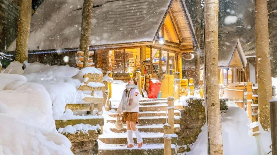 Penguin Fun & Snowmobile : Sapporo Winter (Asahiyama Zoo) - What to Expect from the Day