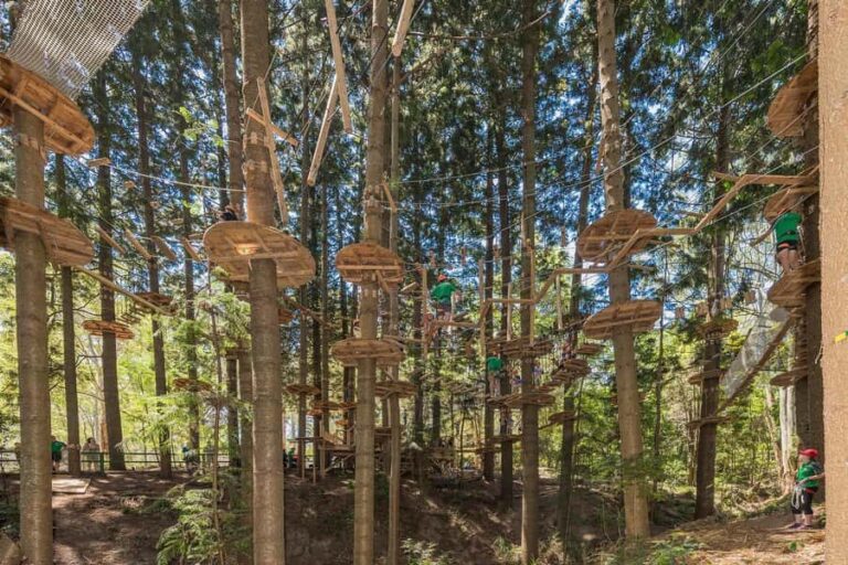 Pennant Hills: Tree Ropes Course Session - The Highlights of the Courses