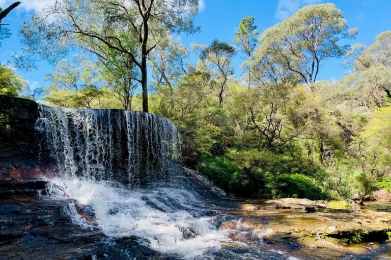 Personalised Blue Mountains Tour: Luxury Vehicles & Insights - The Value of a Private, Flexible Tour
