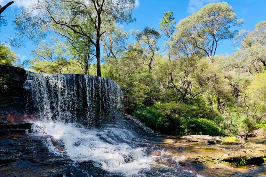 Personalised Blue Mountains Tour: Luxury Vehicles & Insights - The Value of a Private, Flexible Tour