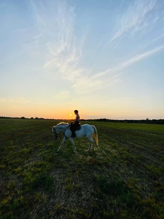Perth, Australia: 1-Hour Scenic Horseback Trail Adventure - Safety and Preparation