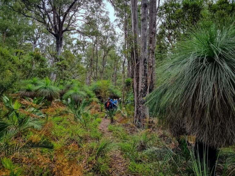 Perth: Dwellingup Train, Trails, and Woodfired Delights Tour - Practical Details and What to Bring