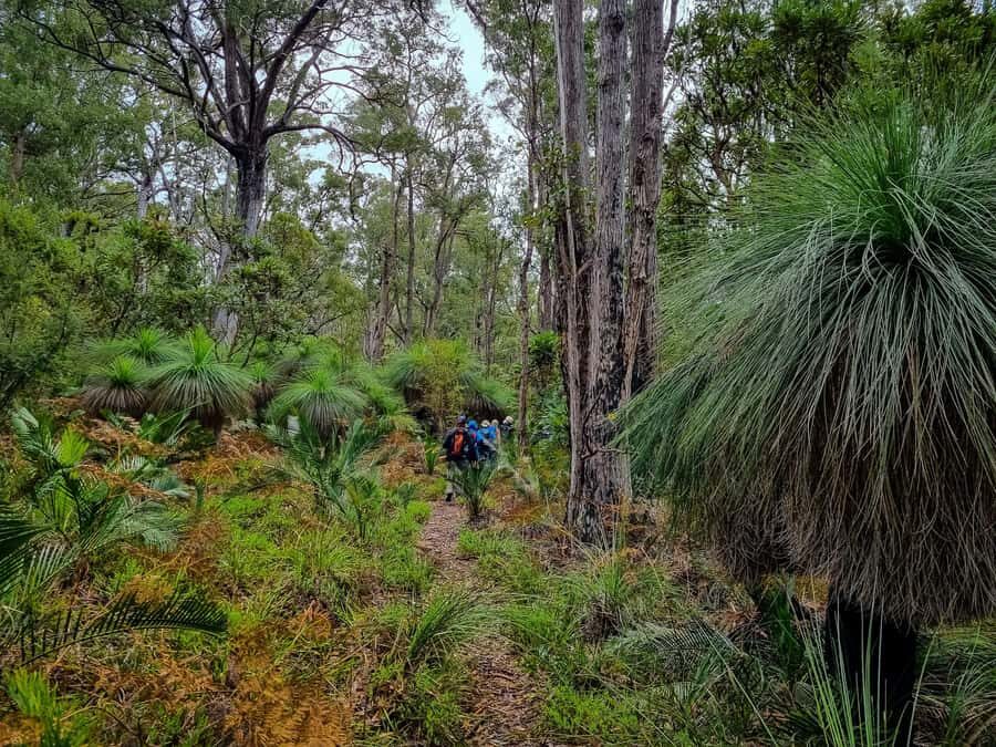 Perth: Dwellingup Train, Trails, and Woodfired Delights Tour - Practical Details and What to Bring