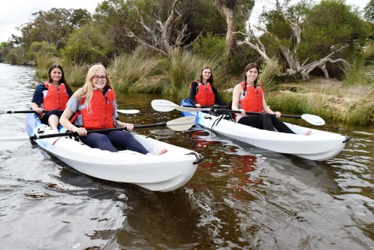 Perth: Guided Kayak Tour around Canning River Wetlands - What to Expect on the Tour