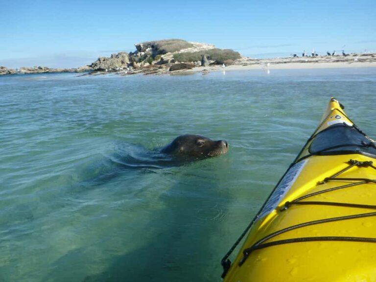 Perth: Shoalwater Islands Marine Park Sea Kayaking Tour - Practical Details and What to Bring