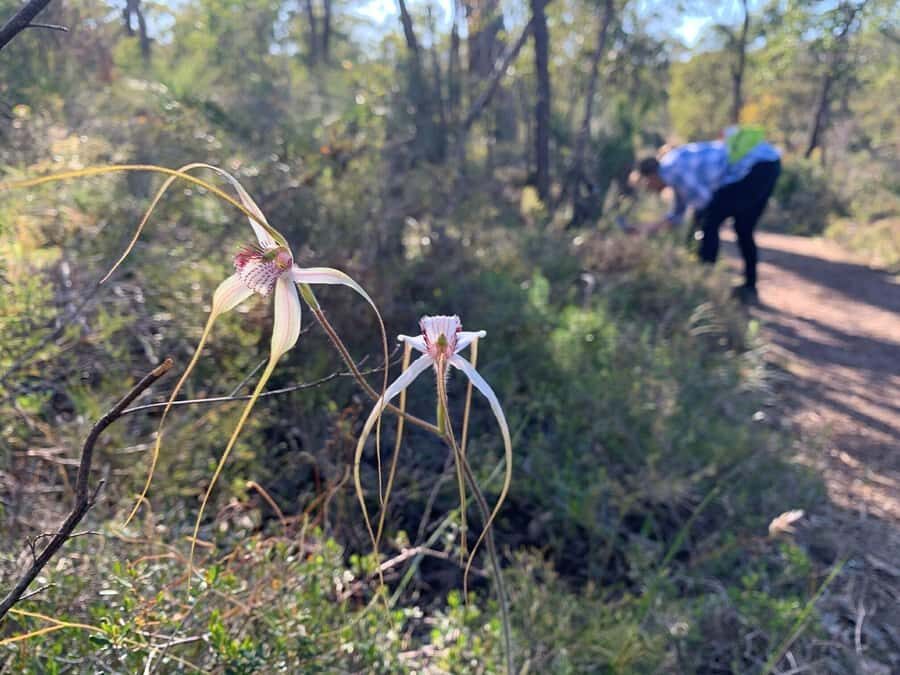 Perth: Swan View Tunnel, Falls, and Eagle View Hike - The Value of This Experience
