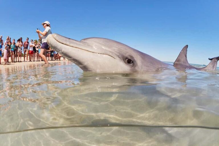 Perth to Exmouth 6-Day Coral Coaster One-Way Journey - The Itinerary in Detail