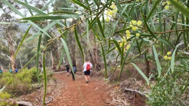 Perth: Waterfalls, Wildflowers & Wandoo Hiking Experience - Key Points