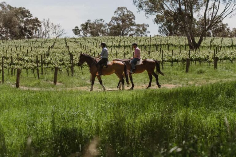 Petaluma: Horseback Riding and Wine Tasting Tour - How Does It Compare to Other Experiences?
