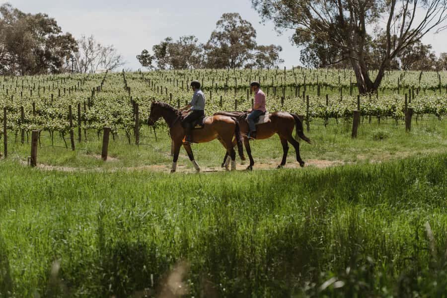 Petaluma: Horseback Riding and Wine Tasting Tour - How Does It Compare to Other Experiences?