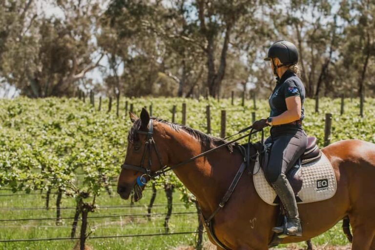 PETALUMA: VIP Equestrian & Private Wine Lunch with Olympian - Why This Tour Works
