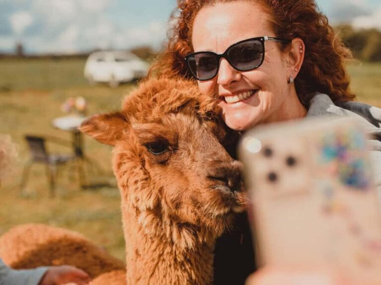 Peterborough: Alpaca Meet and Greet Experience - Who Will Enjoy This Tour?