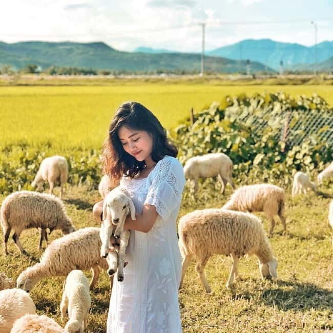 Phan Rang Full-Day: Hang Rai, Vinh Hy, Vineyard & Sheep Farm - What to Expect: A Closer Look at the Day