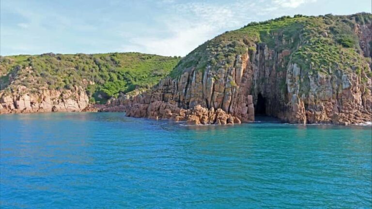 Phillip Island: 1-Hour Cape Woolamai Scenic Cruise - The Itinerary and Experience Breakdown