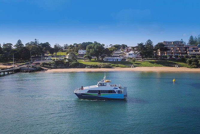 Phillip Island and French Island Wildlife Expedition - What Sets This Tour Apart