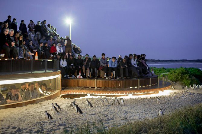 Phillip Island Day Trip from Melbourne with Penguin Plus Viewing Platform - The Itinerary in Detail: What Each Stop Offers