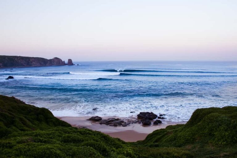 Phillip Island: Hike and Penguin Parade - 8 pax Small Tour - The Experience: Pros and Cons