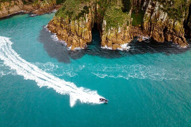 Phillip Island Hop on Hop off Bus - An In-Depth Look at the Tour Itinerary