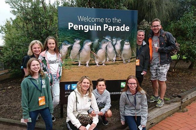 Phillip Island Medium Size Group Tour - The Value and Overall Impression