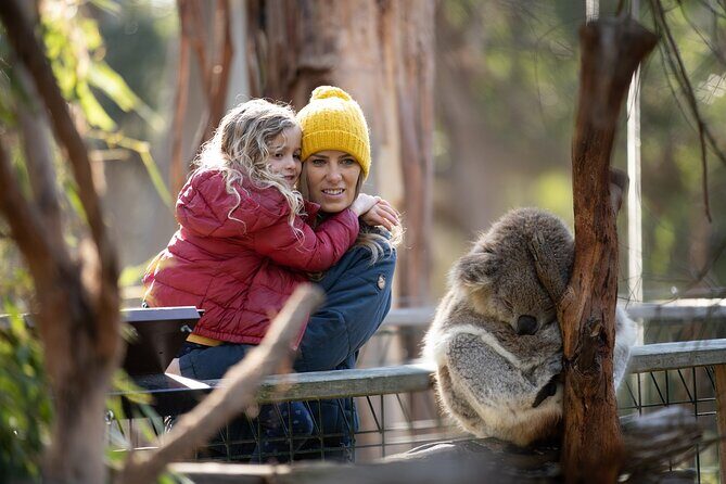 Phillip Island Penguin and Koala Highlights Day-Trip from Melbourne - What Makes This Tour Stand Out?
