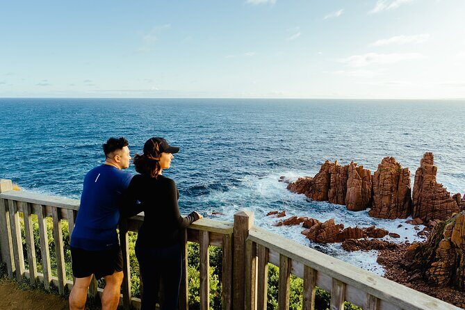 Phillip Island Penguin Parade Express Tour from Melbourne - The Experience: Pros and Cons