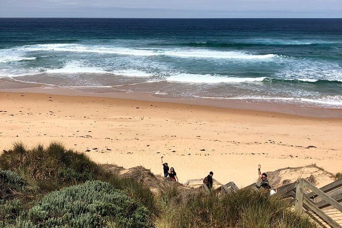 Phillip Island Penguins Private Adventure - What Makes This Tour Stand Out?