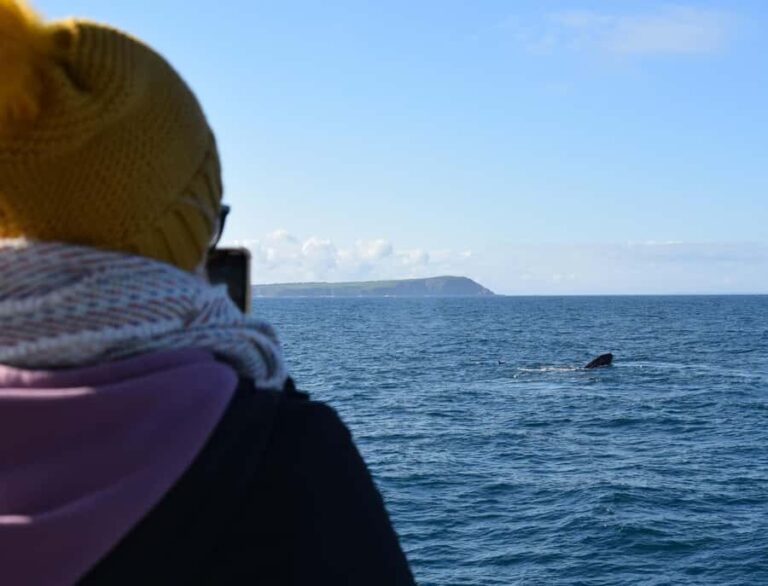 Phillip Island: Whale Watching Boat Tour - What to Expect on the Phillip Island Whale Watching Boat Tour