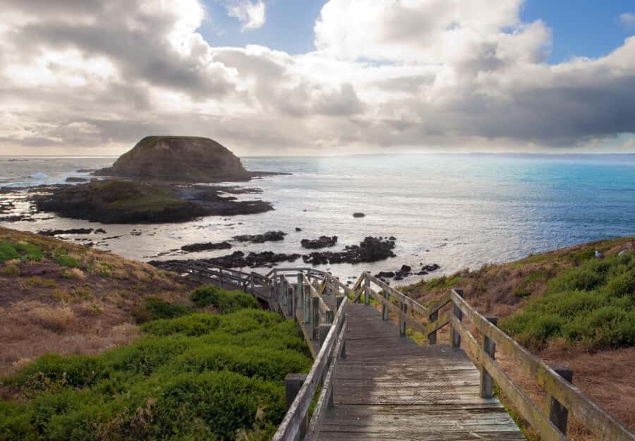 Phillip Island Wildlife & Brighton Beach Boxes Private Tour - Why This Tour Stands Out