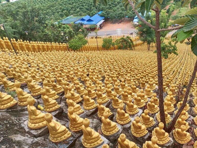 Phnom Penh: Buddha Kiri and Phnom Tamao Zoo Private Day Trip - Phnom Tamao Zoo: An Unexpected Wildlife Sanctuary