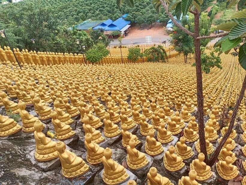 Phnom Penh: Buddha Kiri and Phnom Tamao Zoo Private Day Trip - Phnom Tamao Zoo: An Unexpected Wildlife Sanctuary