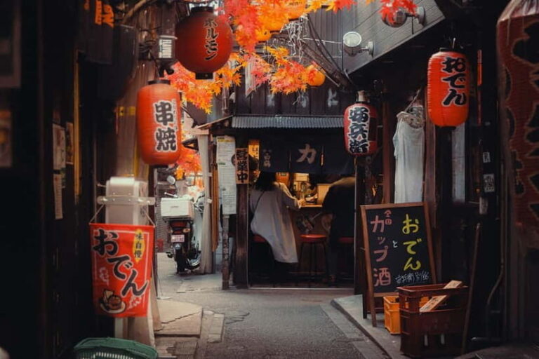 Photo Walk through SHINJUKU, TOKYO - A Detailed Look at the Itinerary and Experience