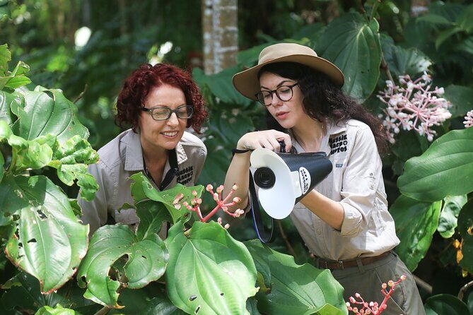 Photography and Nature in Cairns Botanic Gardens Let's Go Buggin - Itinerary Breakdown