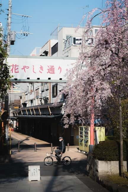 Photography Tour of ASAKUSA, TOKYO - Exploring Asakusa Through a Lens