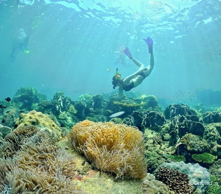 Phu Quoc Speedboat Pro Snorkeling: 4 Islands-2 Reefs & Meal - Who Will Love This Tour?