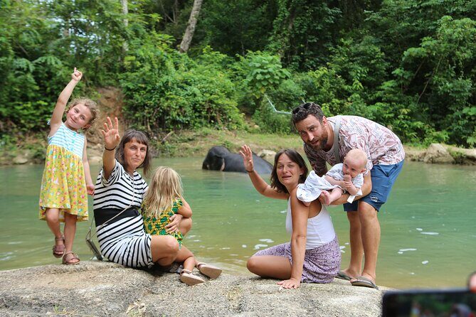 Phuket Elephant Sanctuary Observation and Cooking Class - Who Will Love This Tour?