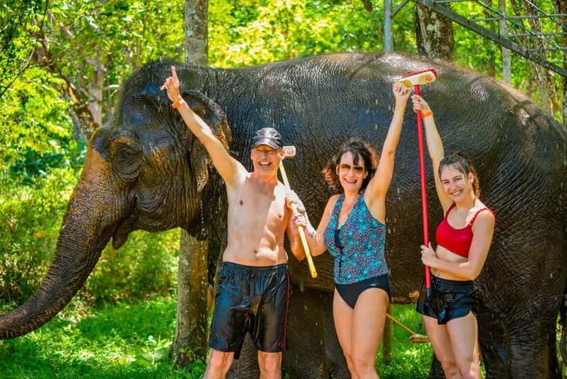 Phuket: Happy Hour Feed and Rain Shower with Elephant - The Itinerary and What to Expect