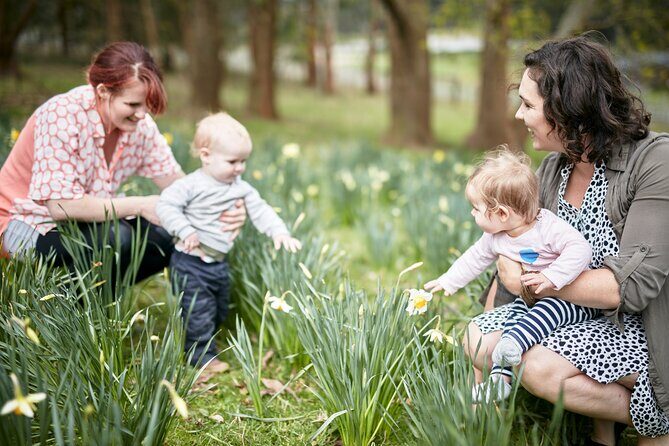 Picnic and Farm Experience at Red Hill - What to Expect During Your Visit