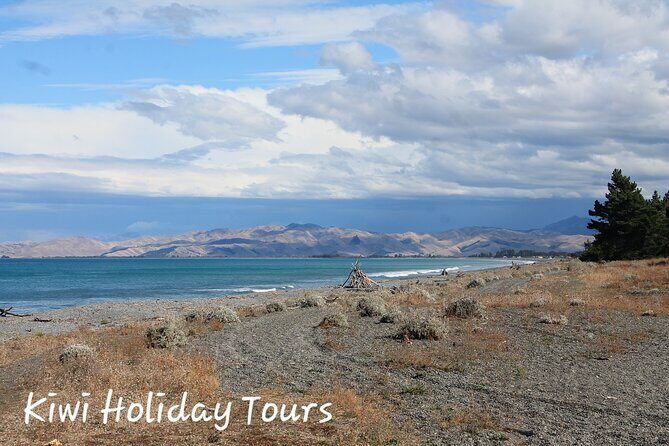 Picton & Blenheim Scenic Tour - Pricing and Value