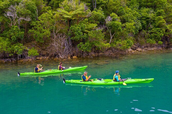 Picton Morning Guided Kayak with Afternoon Boat Cruise Tour - A Taste of the Coast: Seafood and Marlborough Wines