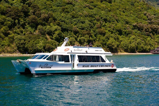 Picton Shore Excursion Kaipupu Sanctuary Water Taxi - Practical Considerations and Tips