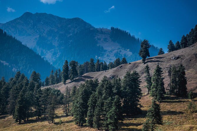 Picturesque Pahalgam: A Memorable Day Trip from Srinagar - Who Should Consider This Tour?