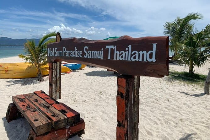 Pig Island & Koh Tan Tour by Speed Boat (Snorkeling & Kayaking) - The Practical Side: Transportation, Timing, and Costs