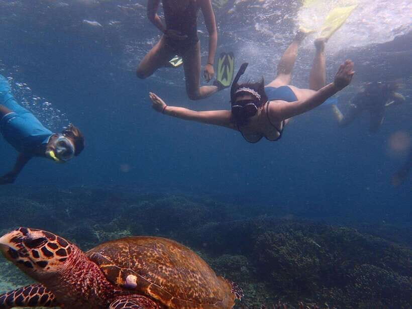 Pigeon Island Snorkeling Tour from Uppuveli Beach - What Sets This Tour Apart?