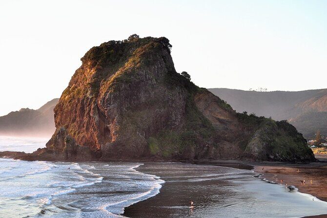 Piha Beach & Wilderness Nature : PRIVATE TOUR 8 hrs - A Deep Dive into the Itinerary