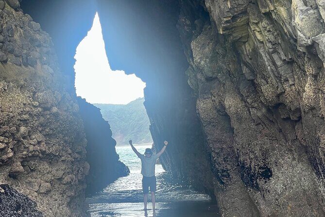 Piha Beach - Who Will Love This Tour?