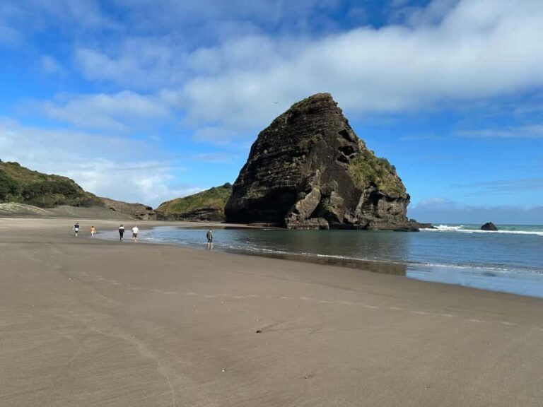 Piha & Karekare - Out of Auckland Private Tour - What Makes This Tour Special?
