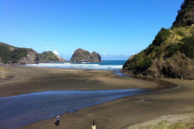 Piha Waitakere Rainforest Wine Tour from Auckland - Practical Tips for Travelers