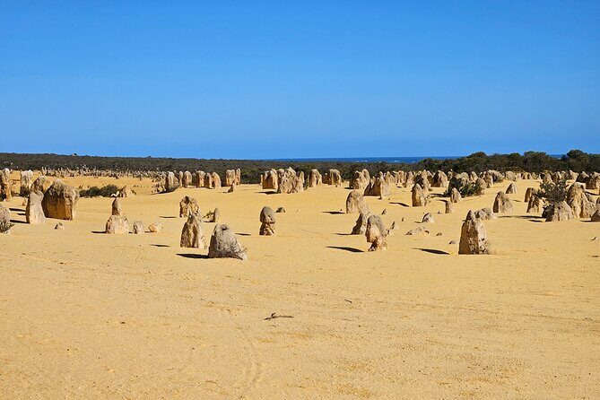 Pinnacle Day Adventure Tour - What Makes This Tour Stand Out?