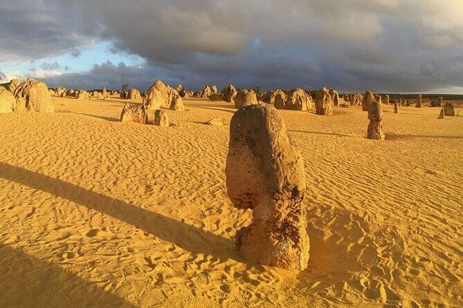 Pinnacles Day Tour - Value and Cost Analysis