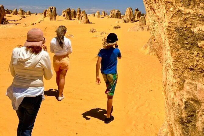 Pinnacles Desert and Catch Your Own Lobster Lunch Safari. - The Value of This Tour